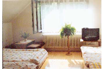 Alojamiento en casa particular Terchová 1